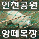 동산사슴목장 이미지
