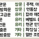 다울테크 네이버블로그