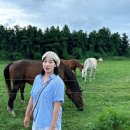 진명목장 이미지