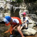 칠갑산도림휴게소캠핑장 이미지