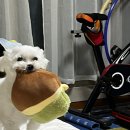 ISFP 남자 특징 팩폭 잇프피 연락 꼬시기 썸 연애 리얼 경험담 풀기