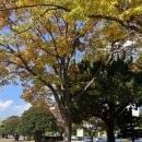 경상남도도청 이미지