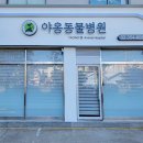 야옹동물병원