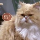 와와민박 이미지