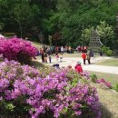 서희테마공원 이미지