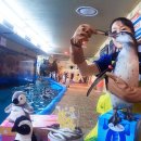 펭귄유통 이미지