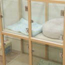 정성호텔 이미지