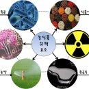 바로농산물