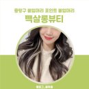 빽살롱 이미지