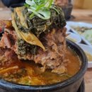 김해 직감 이미지