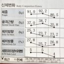 월배다이어트.1포 복용, 1달 4.5kg감량 후기!