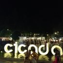 시카다(cicada) 이미지