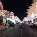 부곡온천 이미지