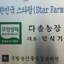 빅마트 이미지