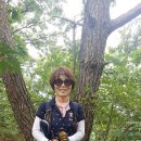 동악농장 이미지