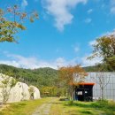 가을 숲으로 놀러가자 | 숲에가자 대구 당일 글램핑 🌿 대구 캠핑 가을 데이트 달성군 삼겹살 바베큐 리얼후기