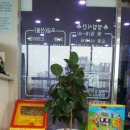 트램폴린 스카이방방 네이버블로그