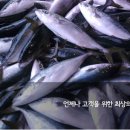 동진상회