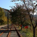 청도레일바이크 이미지