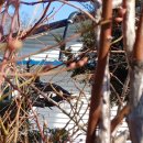 일중농장 이미지