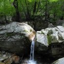 천안 7080산악회 140차 정기산행 경기도 가평 유명산 계곡산행 이미지