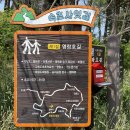 속초사잇길 제1길 이미지