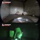 미동농장 이미지