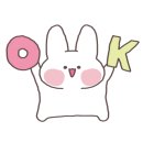 테크니카주짓수