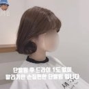 헤어살롱 지숙스럽다 이미지