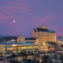 미란다관광호텔 이미지