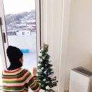 서형 이미지
