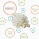 경신농장 이미지