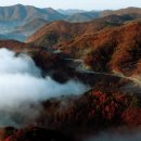 옥     정 이미지