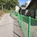 용인양돈 이미지