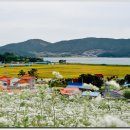 안집농장 이미지