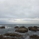 전촌 | 감포 전촌 용굴 후기 - 아이와 함께한 가을바다