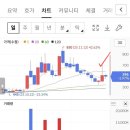 이노인터내셔날 이미지