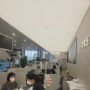 코끼리크로플