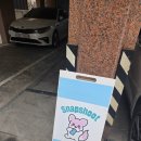 스냅슛 | 스냅슛 울트라 대여 후기!