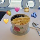 알파존 | 대구 라이온즈파크 맛집 요아정 알파시티점 방문 후기 (달지않은 요아정 꿀조합 추천)