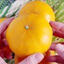 순연농장 이미지