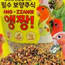 주식회사 리프패럿 이미지