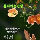 좋은날들 이미지