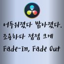 페이드인