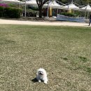 조이포 이미지