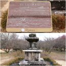 남평문씨본리세거지 주차장 | {대구시 달성군} 대구가볼만한곳! 남평문씨본리세거지 홍매화꽃이 절정이다.