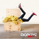 퍼스트몽키즈 - 유성구 유성대로 782 | 퍼스트몽키즈