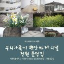 보영민박 | 제주한달살이 숙소 서귀포 쪽 전원 돌담집으로 결정, 편한 시골집에서 보름살이 시작