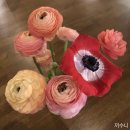 화란커피숍 이미지