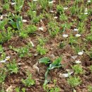 이영약품 이미지